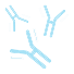 Protein/Immuno-assays